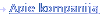 Interneto vizija
